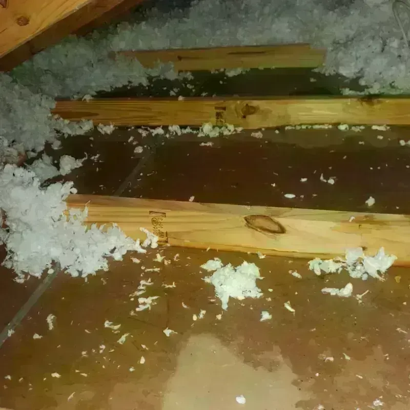 Attic Water Damage in Lynnwood-Pricedale, PA